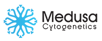 Medusa - نينجانجو لخدمات تصميم مواقع - التسويق الإلكتروني - برمجة تطبيقات موبايل